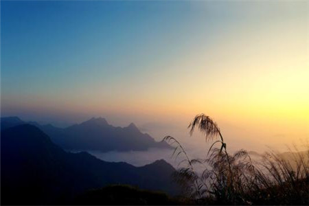 學(xué)士學(xué)位 學(xué)士學(xué)位證書(shū)