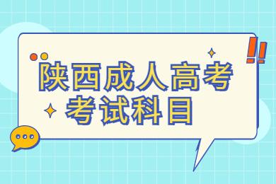 陜西專(zhuān)升本考試科目