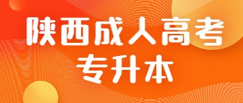 陜西成考專升本
