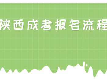 陜西成考