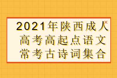 陜西成人高考