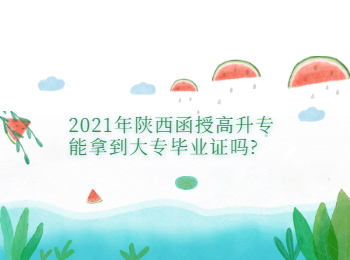 陜西成考