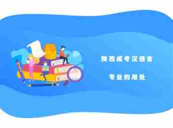 陜西成考漢語言專業的用處