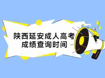 陜西延安成人高考成績查詢時間