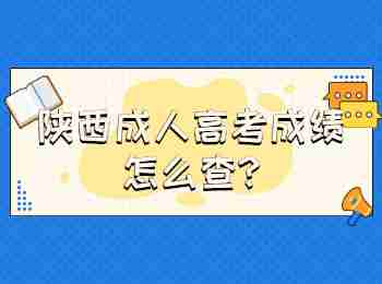 陜西成人高考成績(jī)?cè)趺床?