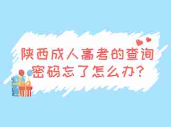 陜西成人高考的查詢密碼忘了怎么辦?