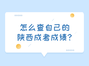 怎么查自己的陜西成考成績