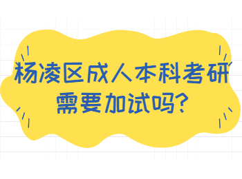 楊凌區成人本科考研需要加試嗎