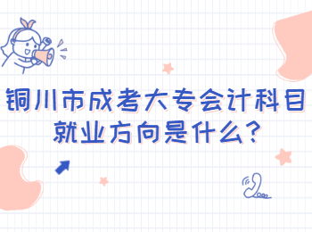 銅川市成考大專會計科目就業方向是什么