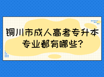 銅川市成人高考專升本專業都有哪些