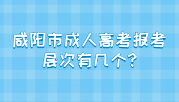 咸陽(yáng)市成人高考報(bào)考層次有幾個(gè)