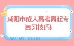 咸陽市成人高考高起專復習技巧