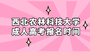 西北農林科技大學成人高考