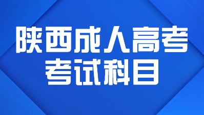 2024年陜西成人高考考試科目考什么內容？