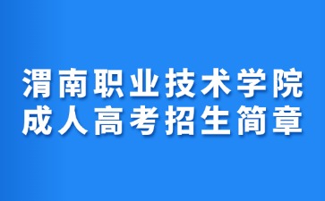 2024年渭南職業技術學院成人高考招生簡章
