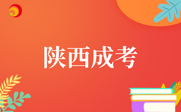 2025年西北大學成考專業介紹